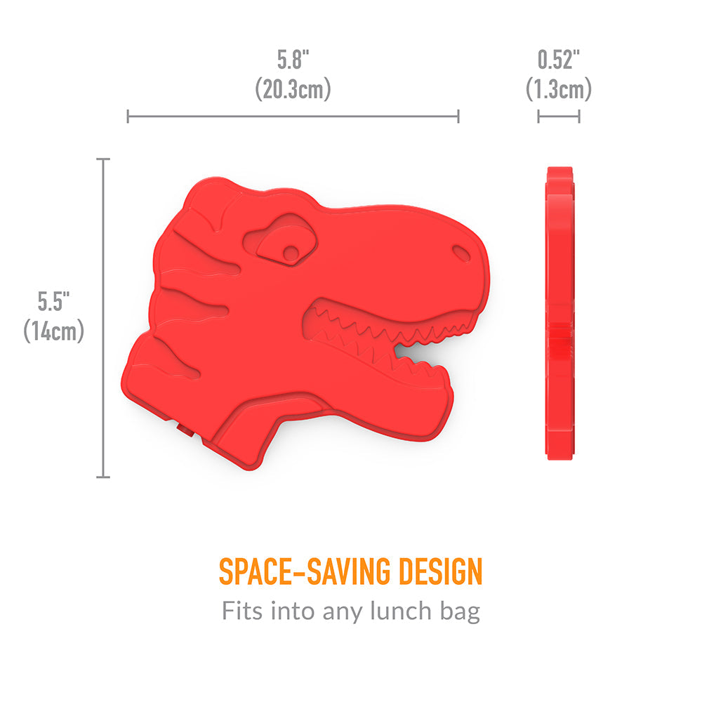 bentgo-kids-prints-lunch-set-b6 BGPTBDL4-DNO-14.jpg