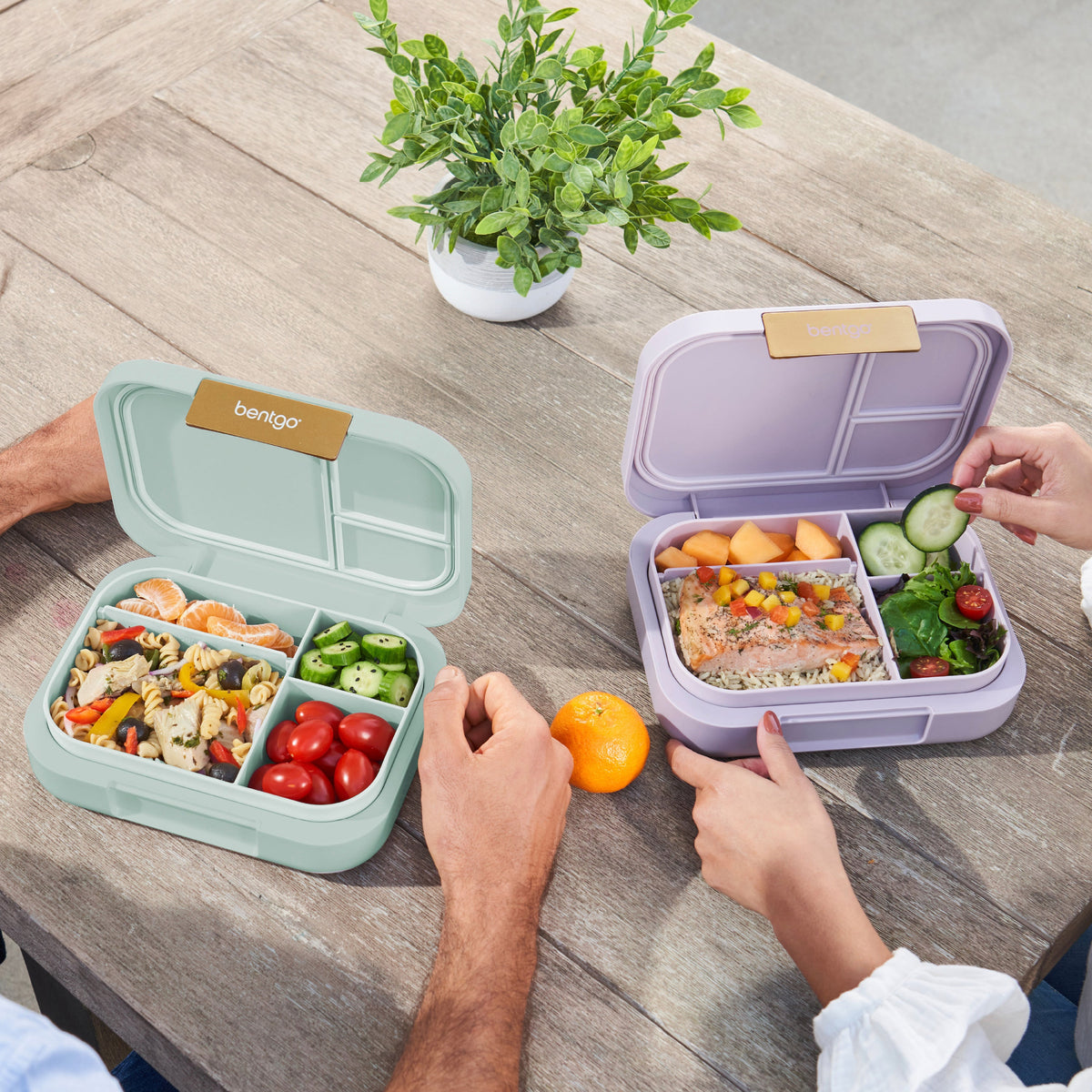 bentgo-modern-lunch-box-2-pack-q1 COSTCOBMCPRODUCTIMAGE_2.jpg